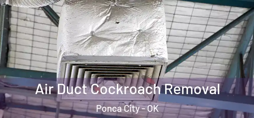  Air Duct Cockroach Removal Ponca City - OK
