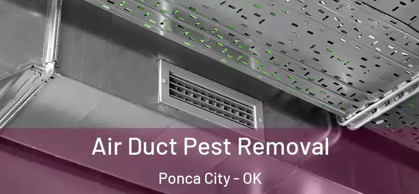  Air Duct Pest Removal Ponca City - OK