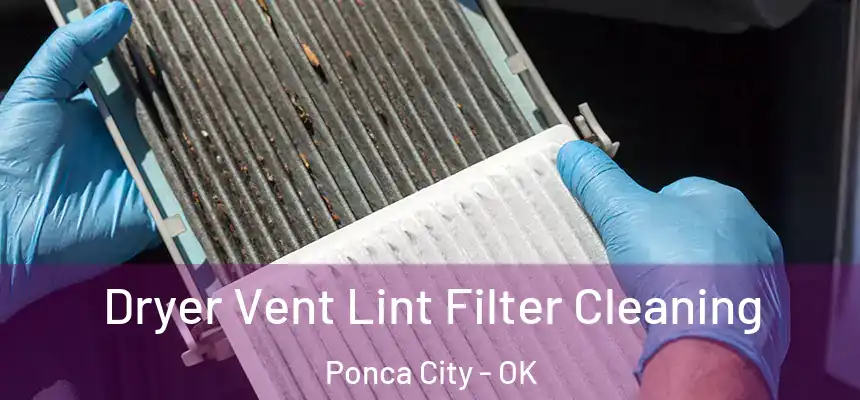  Dryer Vent Lint Filter Cleaning Ponca City - OK