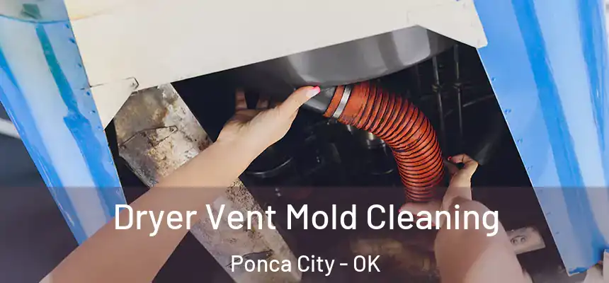  Dryer Vent Mold Cleaning Ponca City - OK