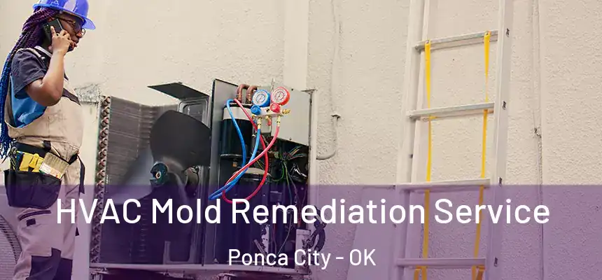  HVAC Mold Remediation Service Ponca City - OK