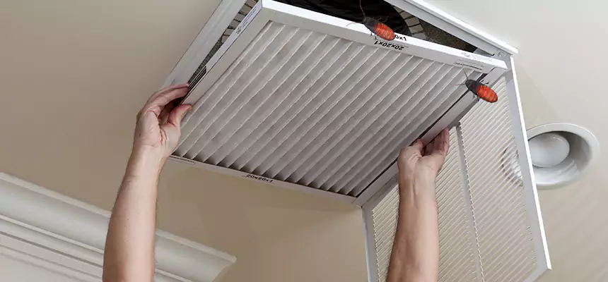 Preventive Cockroach-Proofing for Ducts in Ponca City