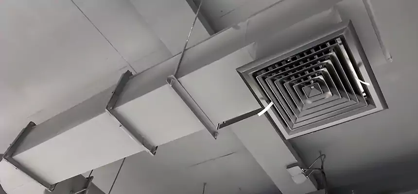 Our Pest Removal From Ducts Services in Ponca City, OK