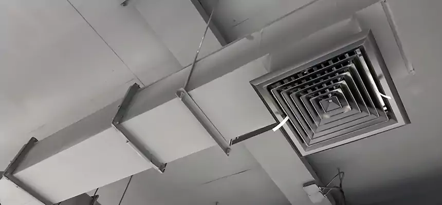 Our Rodent Droppings In Vents Services in Ponca City, OK