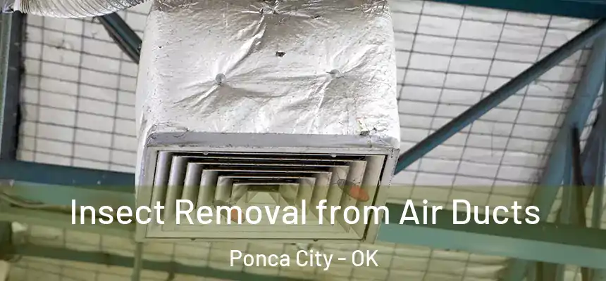  Insect Removal from Air Ducts Ponca City - OK