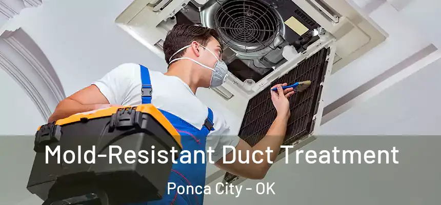  Mold-Resistant Duct Treatment Ponca City - OK