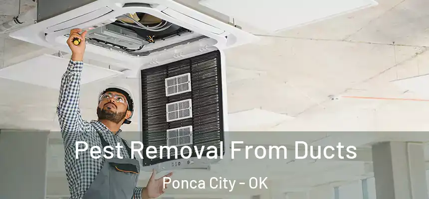  Pest Removal From Ducts Ponca City - OK