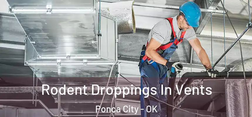  Rodent Droppings In Vents Ponca City - OK