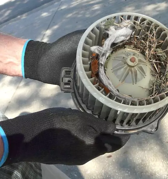 About Air Duct Mice Removal in Ponca City, OK