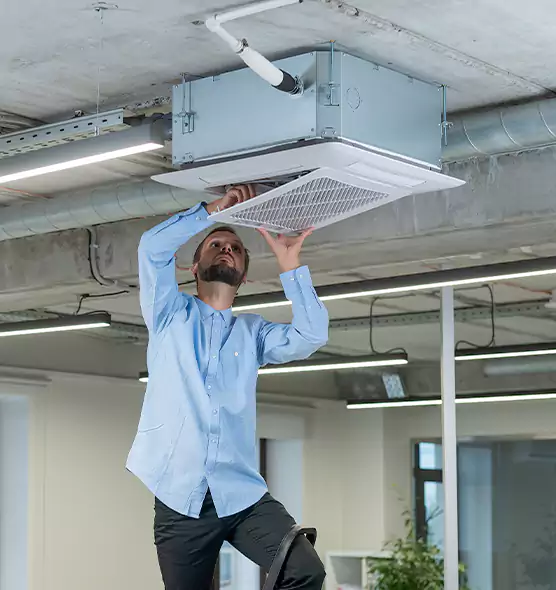 Advanced Rodent Droppings In Vents in Ponca City, OK