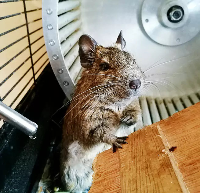 Why Homeowners & Businesses Trust Us Ponca City, OK